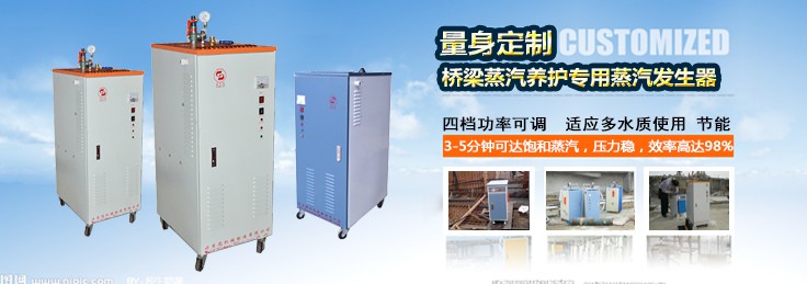 桥梁养护18kw小型蒸汽发生器