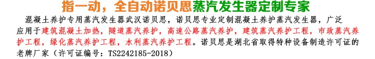 桥梁养护18kw小型蒸汽发生器简介